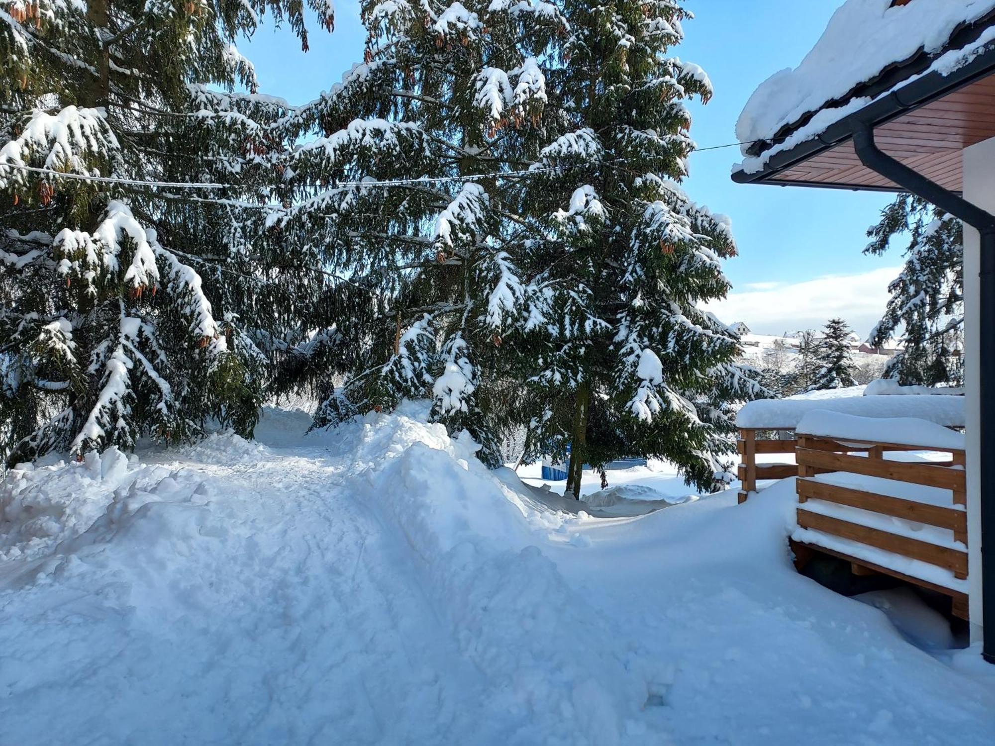 Noclegi Nad Czarna Orawa Podwilk Dış mekan fotoğraf